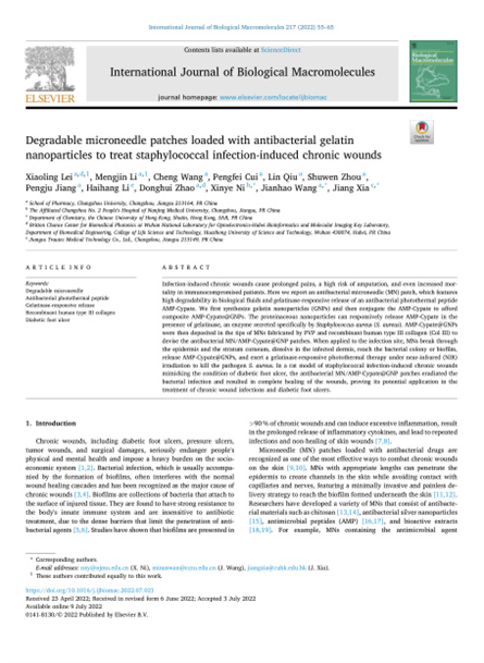 2022 動(dòng)物研究，重組膠原微針，用于慢性傷口